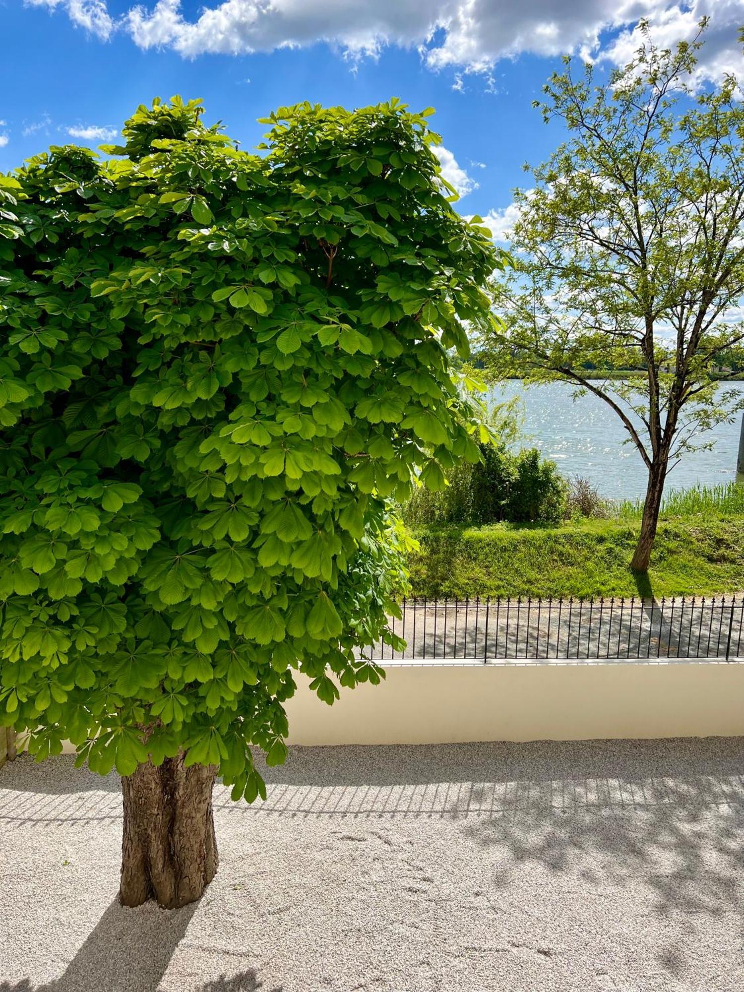 La Villa Du Fleuve キンサック  エクステリア 写真